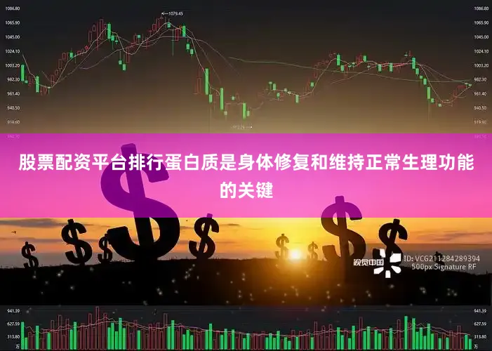股票配资平台排行蛋白质是身体修复和维持正常生理功能的关键